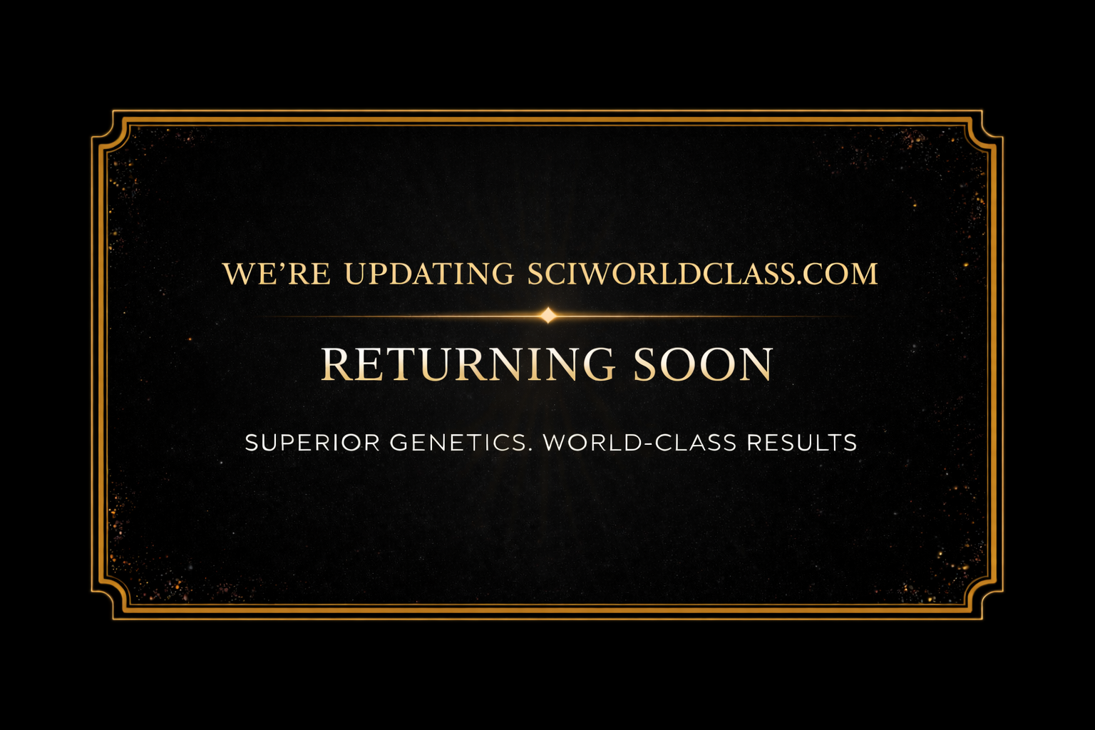 SCI World Class Sport Horses